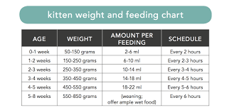Use This Chart As A Guideline For Feeding Remember That Every Kitten Is Different And This Is Only A Feeding Kittens Kitten Growth Chart Cat Feeding Schedule