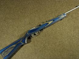 Promag ruger 1022 archangel stock conversion kit deal cart check. Nc Sc Ruger 10 22 With Factory Blue Laminated Stock Carolinafirearmsforum