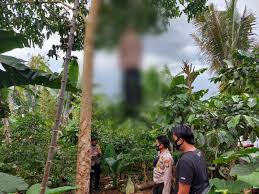 Lemang daun lerek jadi pilihan kerana buluhnya tidak perlu dibelah, sebaliknya ia mempunyai daun bertangkai yang mudah dikeluarkan untuk dihidangkan. Peristiwa Page 4 Target Kasus News