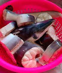 Ikan cencaru, resepi ikan singgang, resepi ikan tongkol, resepi ikan bawal resepi ikan bakar berkuah simple mek ila jv shaklee. Ikan Yu Goreng Kunyit Ikan Yu Denaihati Network Facebook