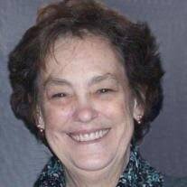 Janice Sue (Schleicher) Kinzel Obituary