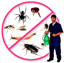 Complete Pest Services - Cockroach, Termite, Ant, Nest Control ...
