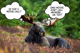 The quiet moose is a full service interior design studio and furniture showroom. Suzanne S Blog My First Moose Hunt First We Eat
