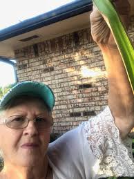 I love it when my professional photographer comes to visit me 📸 Did I  mention that he is also my boss, he stands about 3 feet tall and weighs  40lbs, and likes