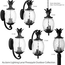 A light fixture (us english), light fitting (uk english), or luminaire is an electrical device that contains an electric lamp that provides illumination. Acclaim Lighting Lanai Pineapple Outdoor Collection Deep Discount Lighting