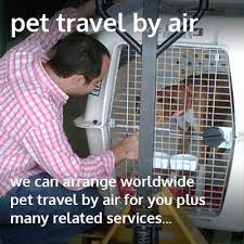 We did not find results for: Pet Transport Services Animalcouriers