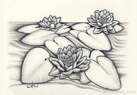 45 Beautiful Flower Drawings And Realistic Color Pencil Drawings Pencil Drawings Of Flowers Pencil Drawings Flower Drawing
