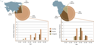 Proportion Of Normal Cycling Irregular Cycling And Acyclic