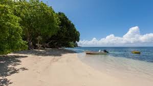 Bois de boulogne, park, west of paris, france. Strand Anse Bois De Rose Praslin Seychellen