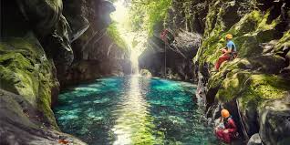 نتیجه جستجوی لغت [reunion] در گوگل