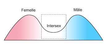 Quest-ce que le genre ? :: Cest la dysphorie de genre, pour info
