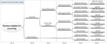 Image result for Group B Streptococcus Prophylaxis