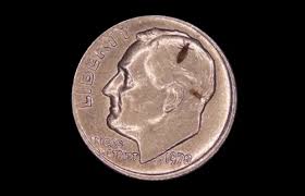 Image result for what do lice look like in dog fur