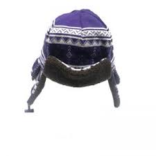 Shop the biggest variety of men's big & tall clothing, footwear & accessories. Northwestern Wildcats Buy Tassel Knit Hat And More Campus Gear Online Evanston And Online