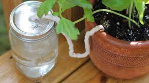 Check spelling or type a new query. 6 Astuces Pour Arroser Ses Plantes Pendant Les Vacances