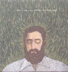 IRON & WINE