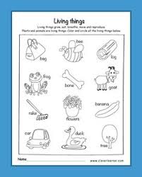 Free space crafts, astronaut crafts, activities, and printables. 37 Preschool Science Activity Worksheet Ideas In 2021 Preschool Science Preschool Science Activities Preschool