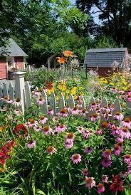 Perennial Flower Gar Flowers Garden Love A Primitive Garden Pinterest Flowers Garden Perennials And Gardens