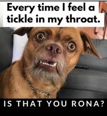 Dogs You Ve Never Seen In 2020 Hospital Memes Haha Funny Memes