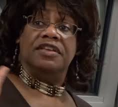 Bellwood candidates running for multiple offices challenged