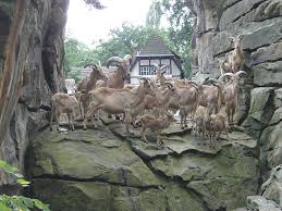 10 Best Zoos In The World Zoo Surviving In The Wild Wildlife
