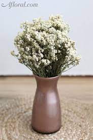Dried Yarrow Known As Achillea The Pearl 3oz Per Bunch 6 7 Bundle Diameter Bundle Of Stems Natural Dried Flowers Rustic Wedding Flowers Yarrow Flower