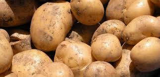 Papa or papa may also refer to: Papa La Raiz Que Alimenta Al Mundo Excelencias Gourmet