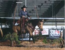 Great color dappled buckskin 5 y. Horse For Sale At The Palmer Quarter Horse Ranch Palmer Quarter Horses