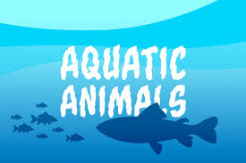These creatures include octopuses, starfish, and many other sea animals. Aquatic Animals Quipoquiz
