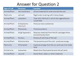 Check spelling or type a new query. Mid Term Exam Constructed Response Questions And Answers Ppt Download
