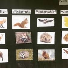 Das deckblatt dient dazu, das gesamtbild einer bewerbung abzurunden und kann bei richtiger gestaltung positive effekte im rahmen des bewerbungsprozesses mit sich bringen. Kleine Unterrichtseinheit Zum Thema Tiere Im Winter Nachdem Wir Geklart Haben Was Wintersta Wald Grundschule Winterschlaf Tiere Kunstunterricht Grundschule