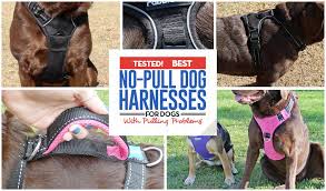 32 Best Dog Harnesses For Dogs That Pull In 2019