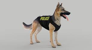 Popular police k9 dog breeds. German Shepherd Malinois K9 Dog Player Ped Modifications Lcpdfr Com