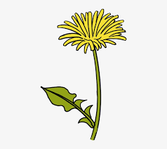 Check spelling or type a new query. Drawing Dandelion Easy Svg Black And White Library Dandelion Drawing Free Transparent Png Download Pngkey
