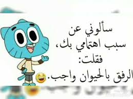 اقوال غامبول Youtube In 2020 Fun Quotes Funny Cartoon Quotes Funny Words
