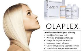 To keep hair healthy between salon services, clients should take home olaplex no.3 hair perfector to use as a weekly treatment. What Is Olaplex And Why Do You Need It David David Hair Salon