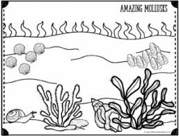 There are three main categories of colors: Free Ocean Coloring Pages