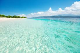 Bali Sandy Coast Of A Wild Beach And Clear Sea Of The Bali Barat National Park Sponsored Wild Beach Coast B Beaches In The World Bali Beaches Beach