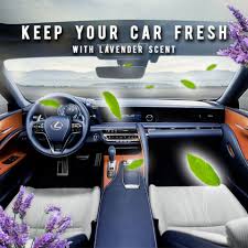 Car Interior Cleaner In 2020 Car Interior Cleaners Car Interior Cleaners