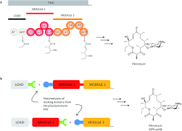 However, it has couple of key differences compared to the adf test in function and in practical usage. Genetic Engineering Of Modular Pkss From Combinatorial Biosynthesis To Synthetic Biology Natural Product Reports Rsc Publishing Doi 10 1039 C5np00109a