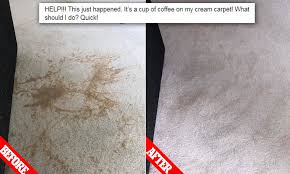 A fresh coffee stain on your carpet can be easily eliminated using two readily available materials in two simple steps. Clever Mum Reveals How She Cleaned Up Coffee Stains On Her Carpet Using Washing Up Liquid Daily Mail Online