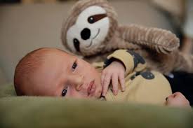 Dr. Petsch Andrologie