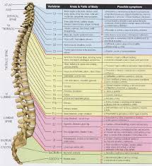 Spinal Chart Chiropractic Can Help With So Much More Than