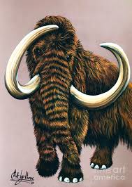 If you want to draw woolly mammoth, follow our tutorial step by step for the perfect picture. Woolly Mammoth Drawing By Art By Three Sarah Rebekah Rachel White