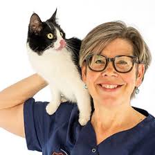 Team paraveterinairen