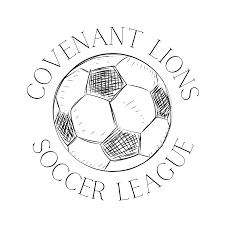 Imagini pentru soccer