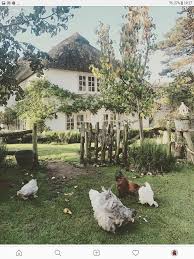 Granny S Farm Her Chickens Have The Run Of Her Place Cottage Garden Dream Garden Idyllic