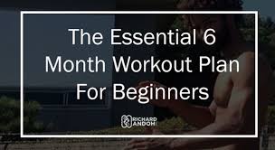 beginner calisthenics workout program