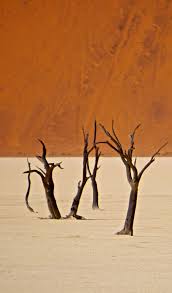 Sossusvlei Dunes Gem Of The Namib Naukluft National Park Erika S Travels African Travel Africa Travel National Parks