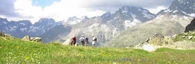 Bergtocht Naar Col St Martin Queyras Wandelen Natuurfoto S Natuur